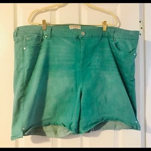 Teal Bermuda Shorts Size 28W